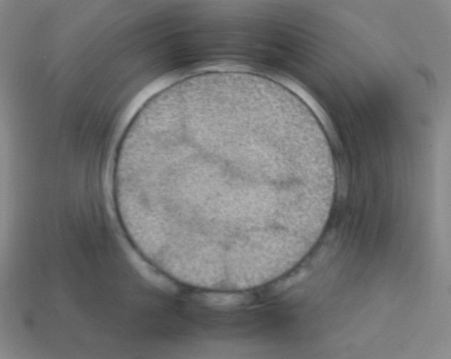 X0000113110861200910091158
