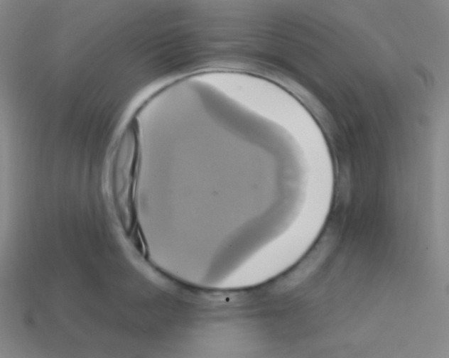 X0000113110862200910091158
