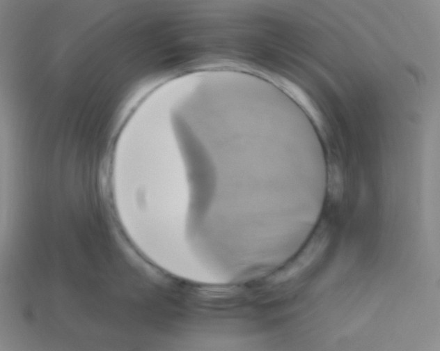 X0000113110863200910091158