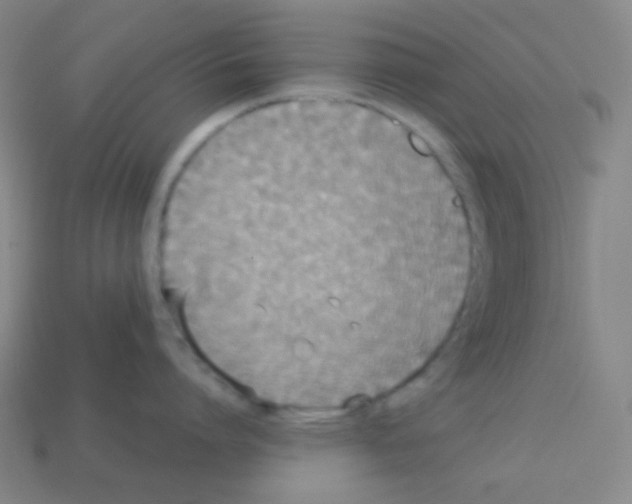 X0000113110864200910091158