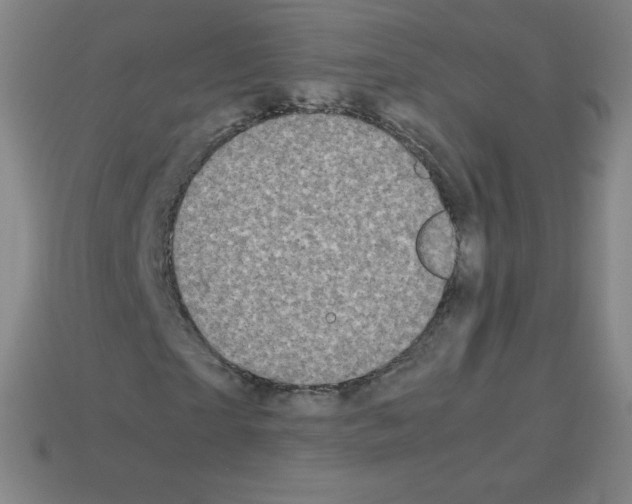 X0000113110865200910091157