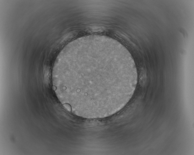 X0000113110866200910091157