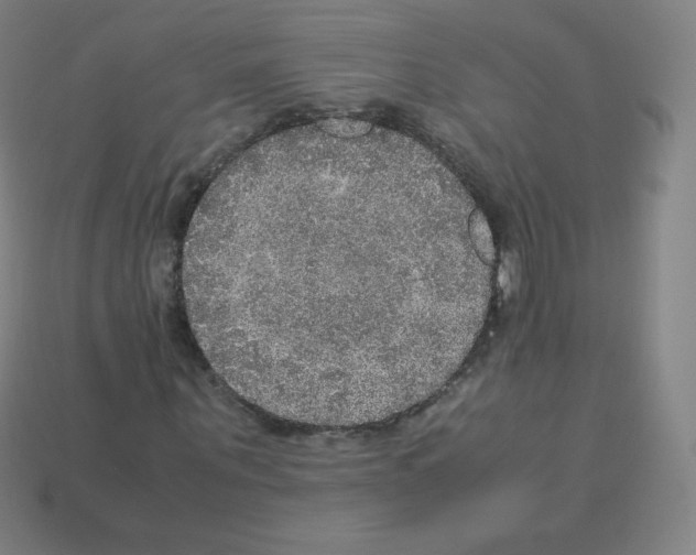 X0000113110867200910091157