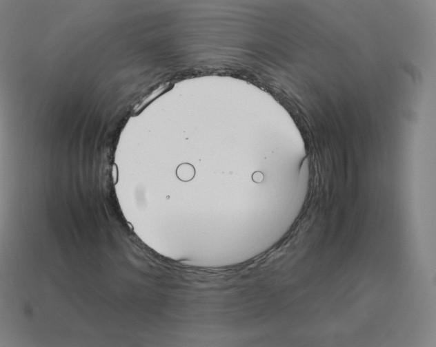 X0000113110868200910091157