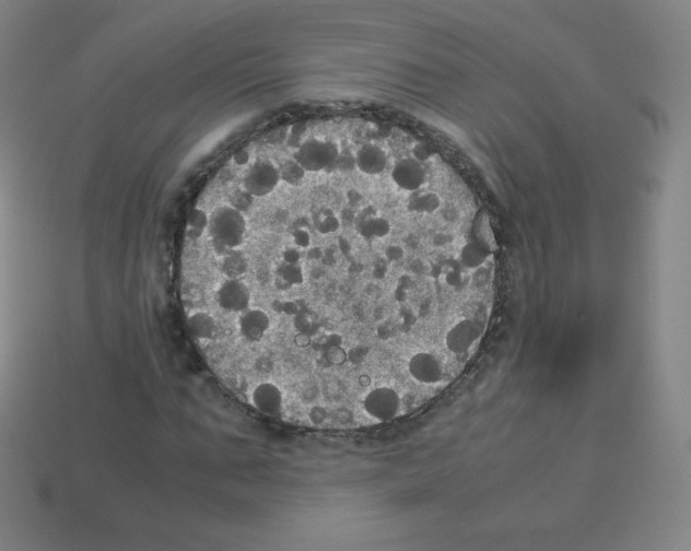 X0000113110871200910091157