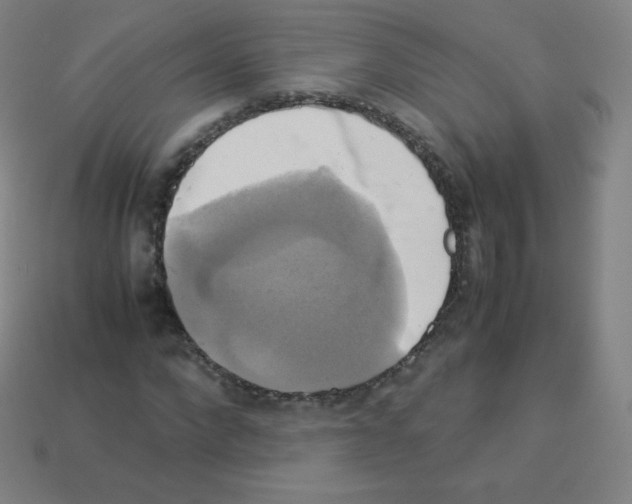 X0000113110872200910091157