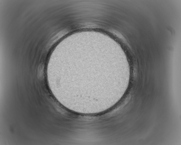 X0000113110873200910091157