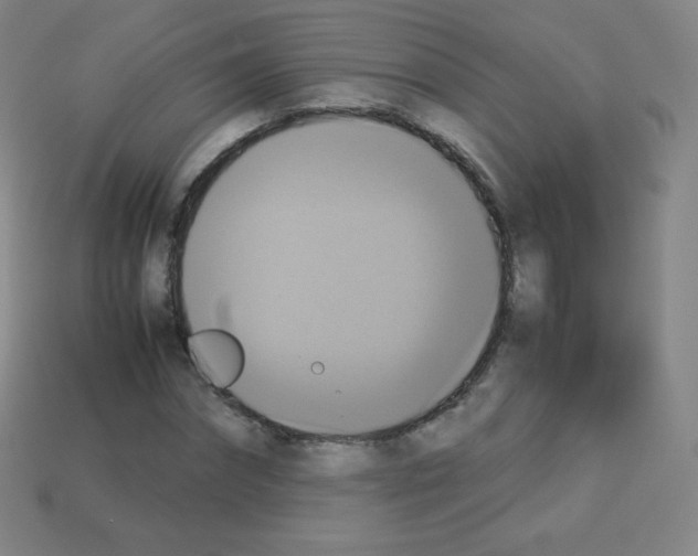 X0000113110874200910091157