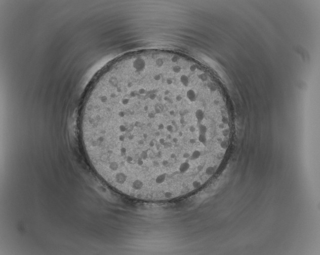 X0000113110875200910091157