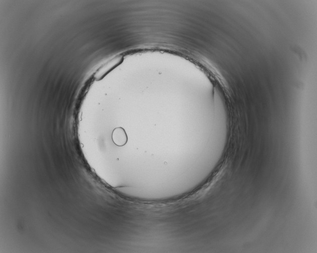 X0000113110876200910091157