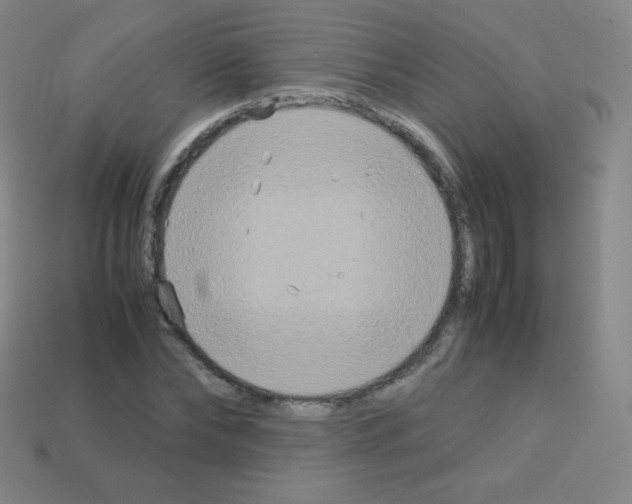 X0000113110878200910091157