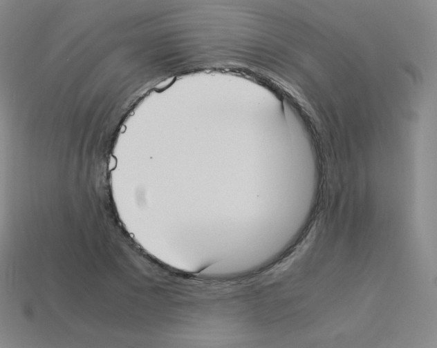 X0000113110881200910091157