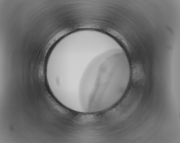 X0000113110882200910091157