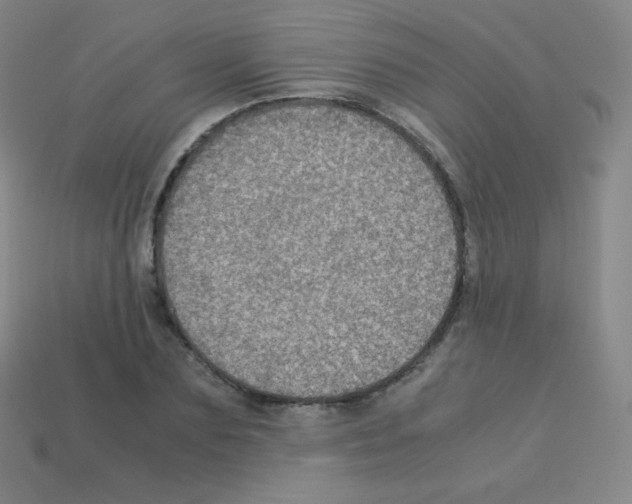 X0000113110883200910091157