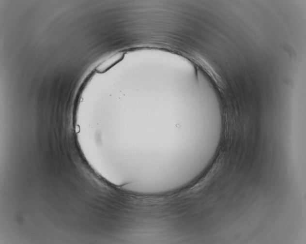X0000113110884200910091157