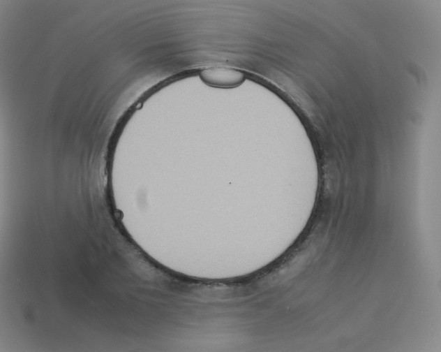 X0000113110885200910091157
