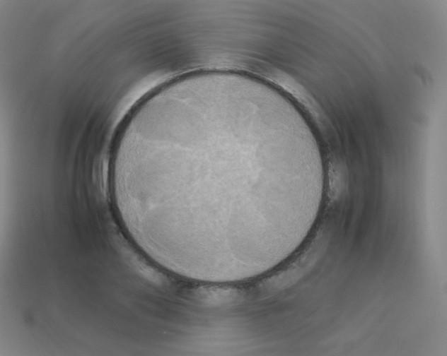 X0000113110886200910091157