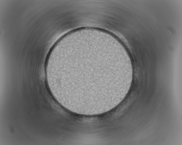 X0000113110887200910091157