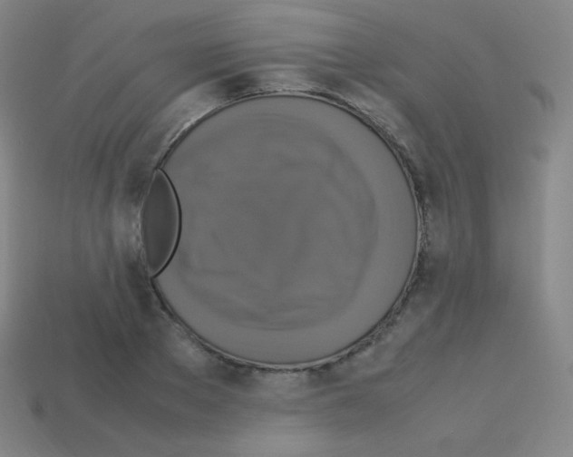 X0000113110889200910091157