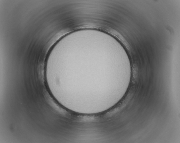 X0000113110890200910091157