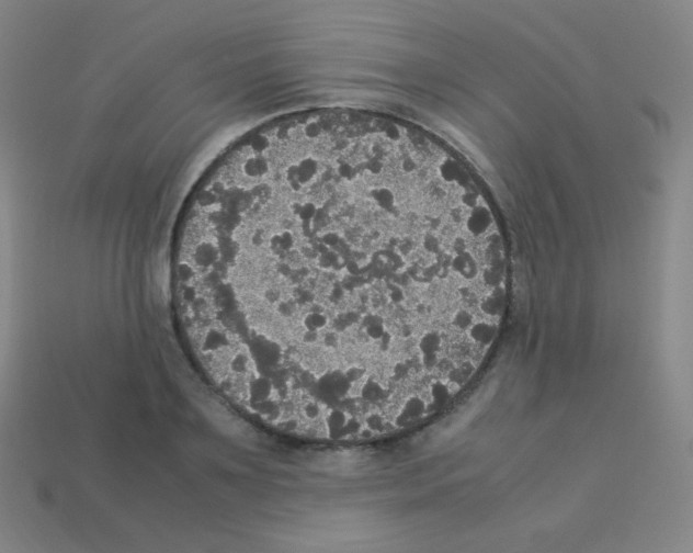 X0000113110891200910091157