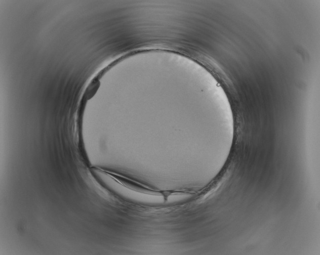 X0000113110892200910091157
