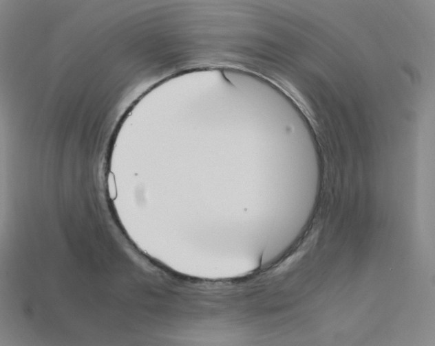 X0000113110893200910091157