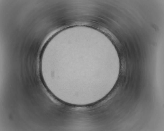 X0000113110894200910091157