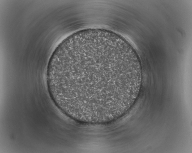 X0000113110895200910091157