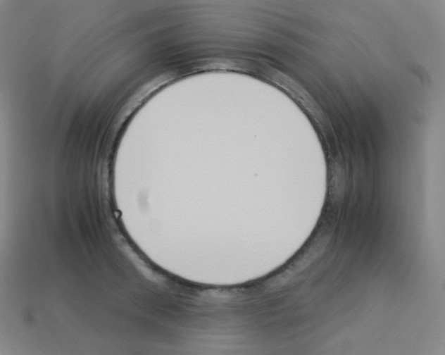 X0000113110898200910091157