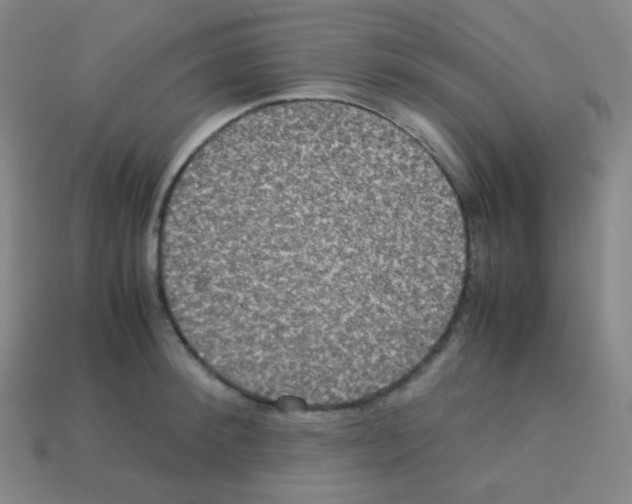 X0000113110900200910091157