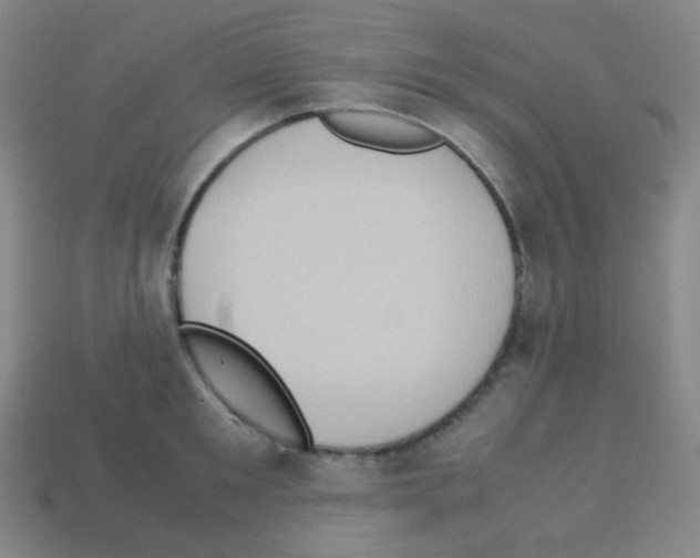 X0000113110901200910091157