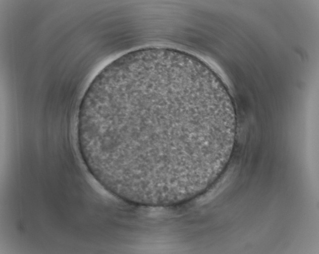 X0000113110903200910091157