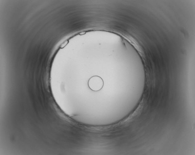 X0000113110904200910091157