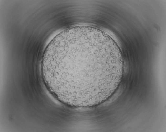 X0000113110906200910091157