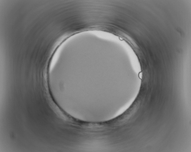 X0000113110907200910091157