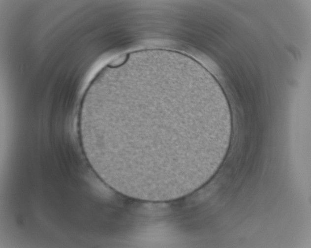 X0000113110912200910091157