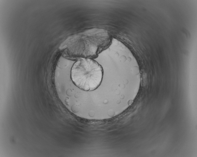 X0000113110913200910091156