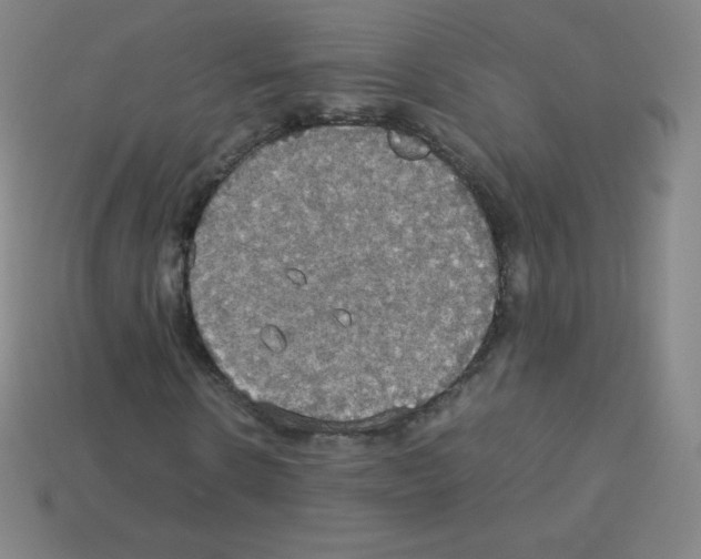 X0000113110914200910091156