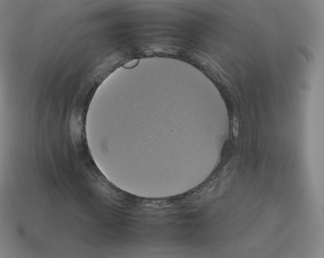 X0000113110915200910091156