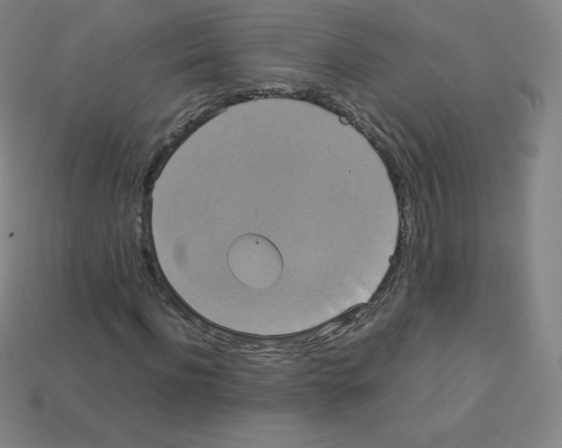X0000113110916200910091156