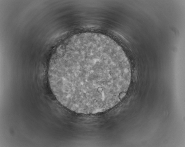 X0000113110917200910091156