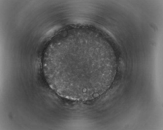 X0000113110918200910091156