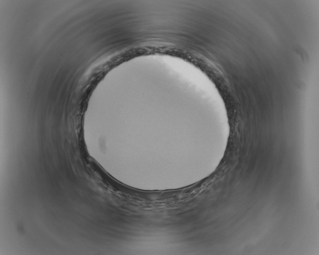 X0000113110920200910091156