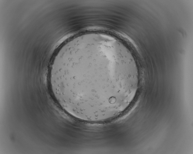 X0000113110921200910091156
