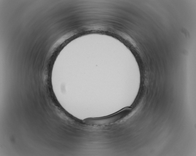 X0000113110922200910091156