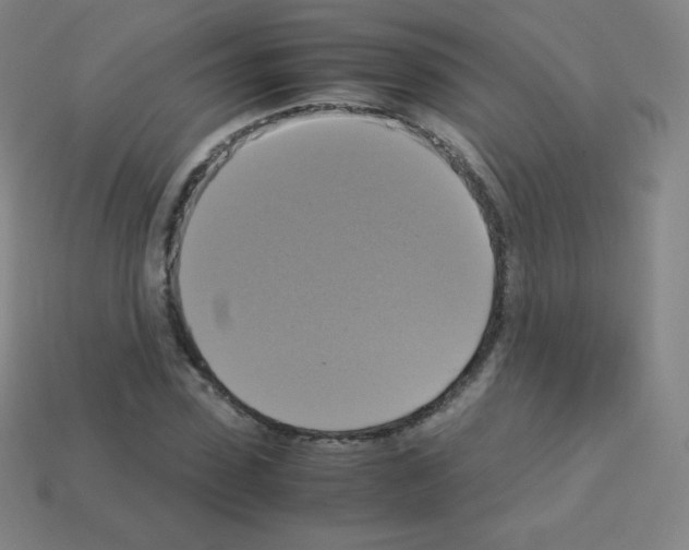 X0000113110923200910091156