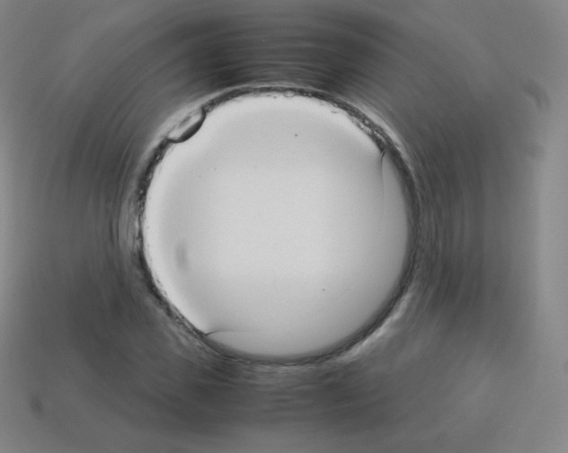 X0000113110925200910091156