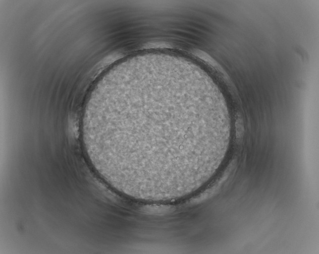 X0000113110929200910091156