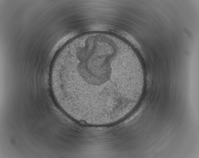 X0000113110930200910091156